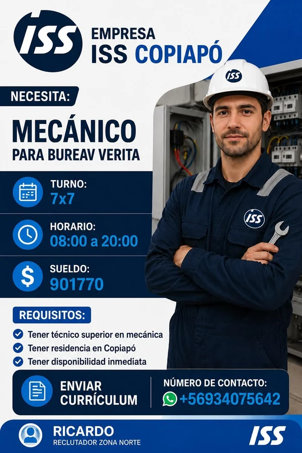 Mecánico - imagen 1