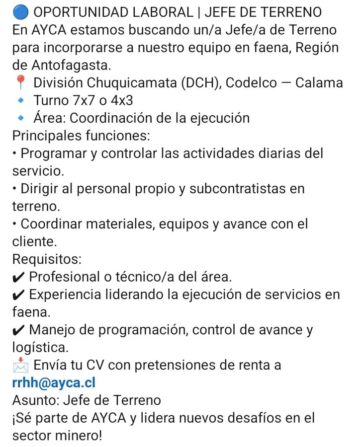 Jefe de Terreno - imagen 1