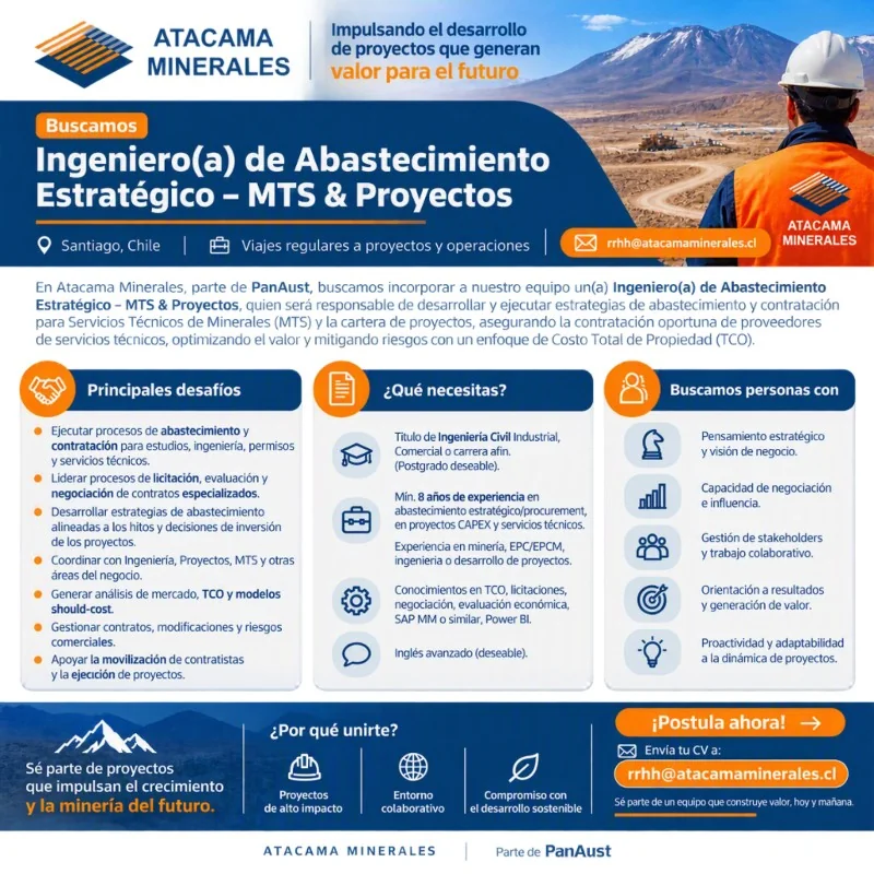 Ingeniero de Abastecimiento Estratégico - imagen 1