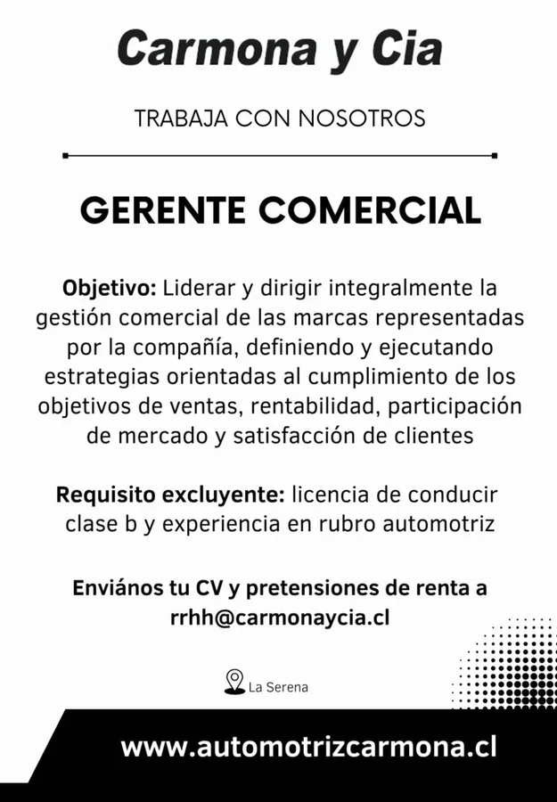 Gerente Comercial - imagen 1