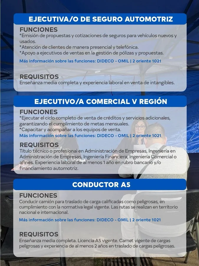 Ofertas de Empleo: Seguros, Ventas y Conductores - imagen 1