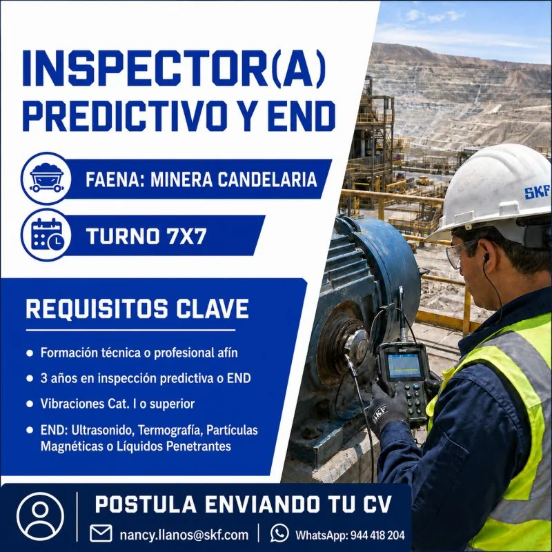Inspector Predictivo y END - imagen 1