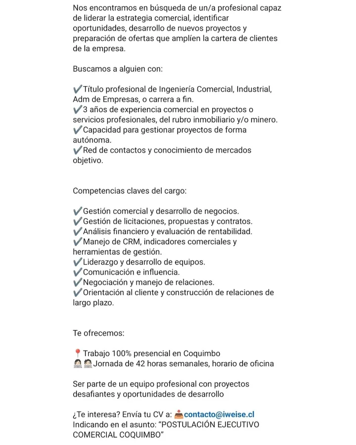 Ejecutivo Comercial - imagen 1