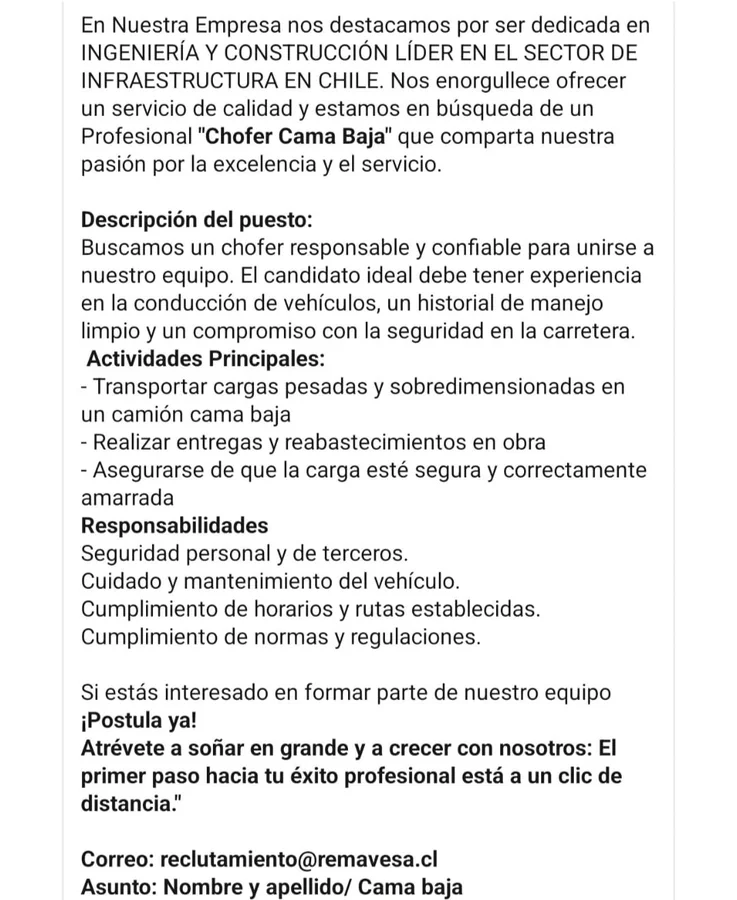 Chofer Cama Baja - imagen 1