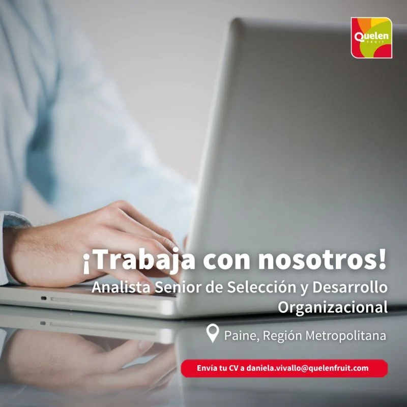 Analista Senior de Selección y Desarrollo Organizacional - imagen 1
