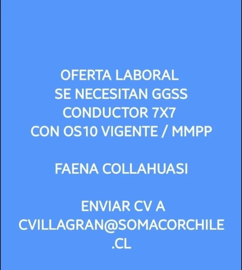 Guardia de Seguridad Conductor 7x7 - imagen 1