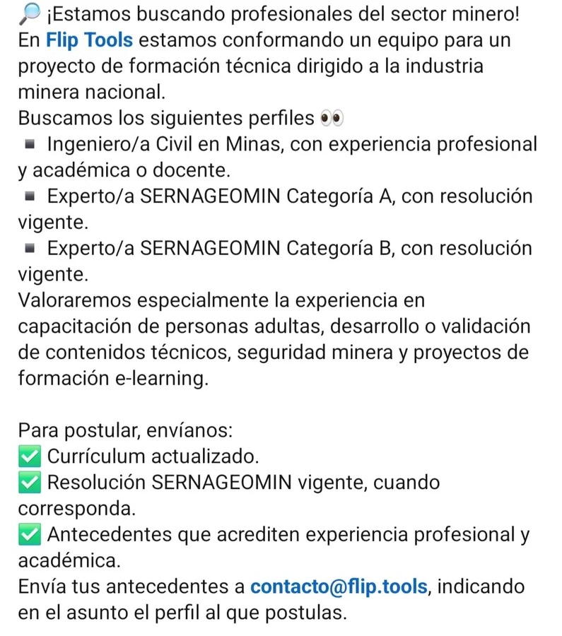 Profesionales del Sector Minero - imagen 1