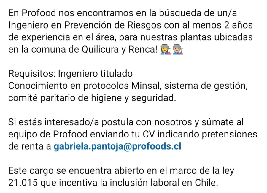 Ingeniero en Prevención de Riesgos - imagen 1