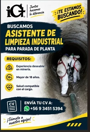 Asistente de Limpieza Industrial para Parada de Planta - imagen 1