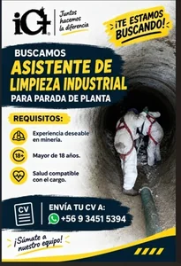 Asistente de Limpieza Industrial para Parada de Planta - imagen 1