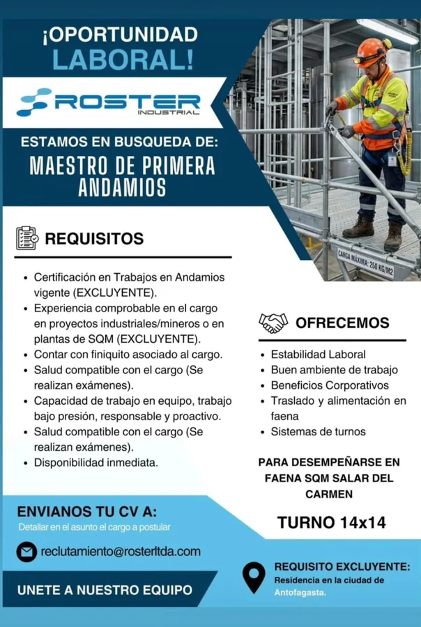 Maestro de Primera – Andamios - imagen 1