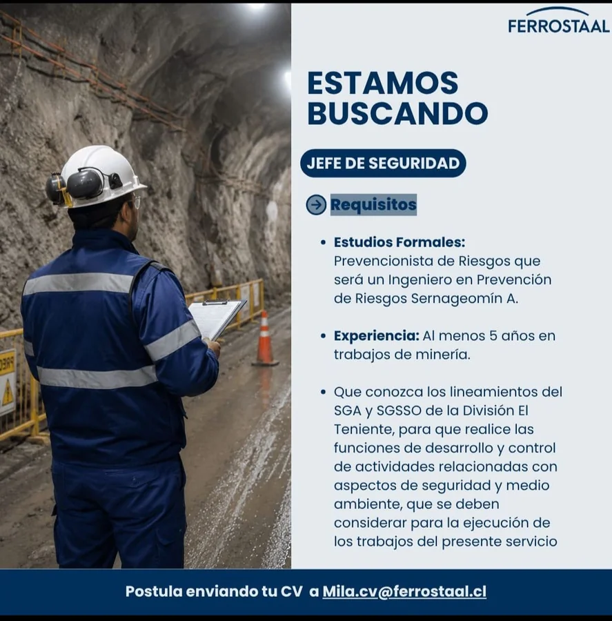 Jefe de Seguridad - imagen 1