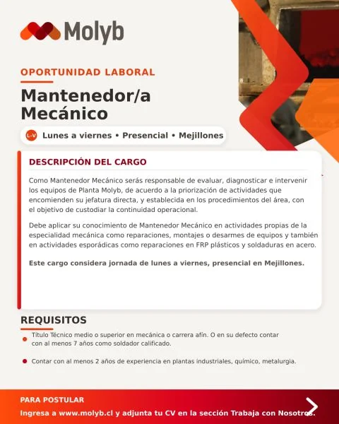 Mantenedor Mecánico - imagen 1