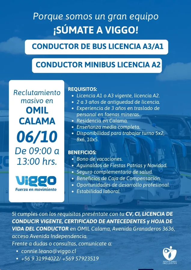 Conductor de Bus y Minibús - imagen 1