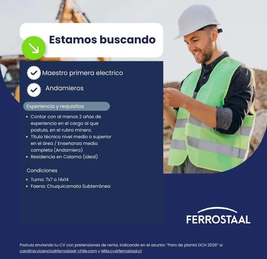 Maestro Primera Eléctrico y Andamieros - imagen 1
