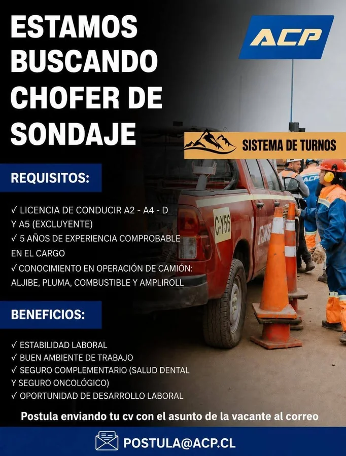 Chofer de Sondaje - imagen 1