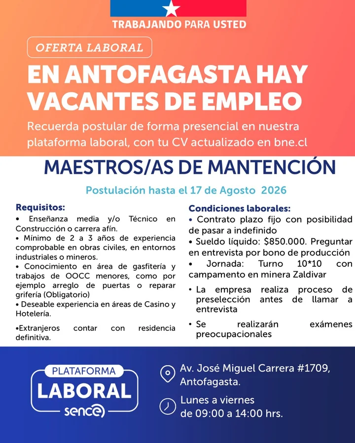 Maestro de Mantención - imagen 1