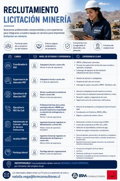 Profesionales de RRHH para Licitación Minera - imagen 1