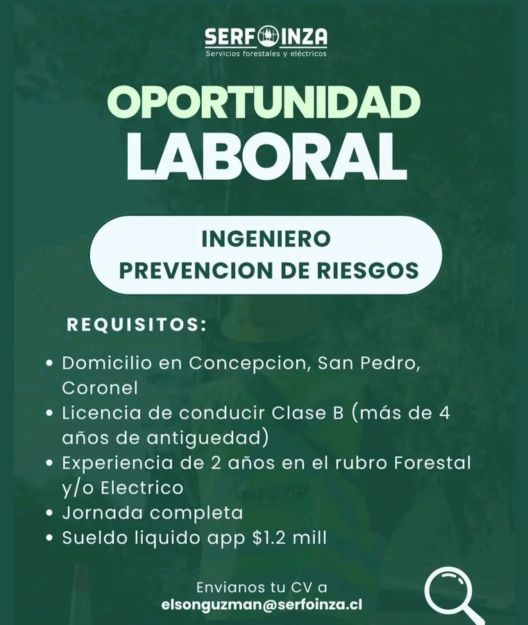 Ingeniero de Prevención de Riesgos - imagen 1