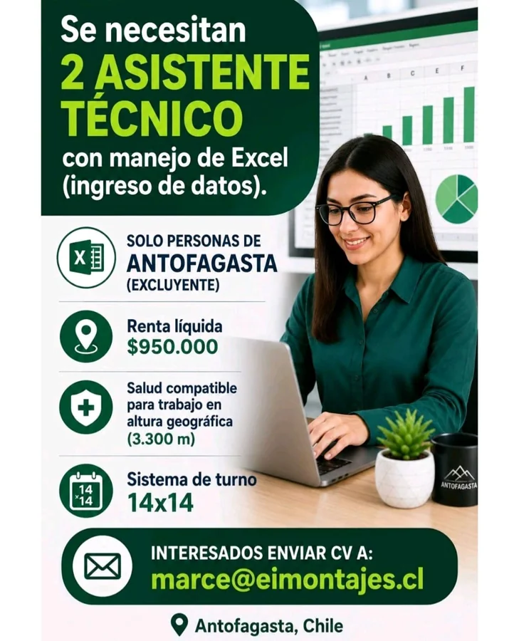 Asistente técnico en Excel - Antofagasta - imagen 1