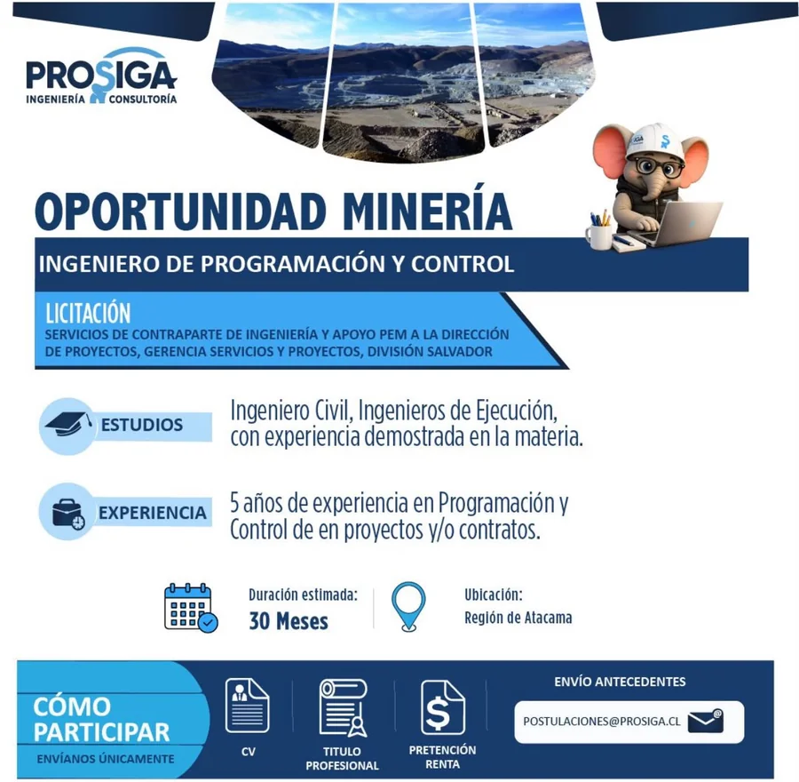 Ingeniero de Programación y Control - imagen 1