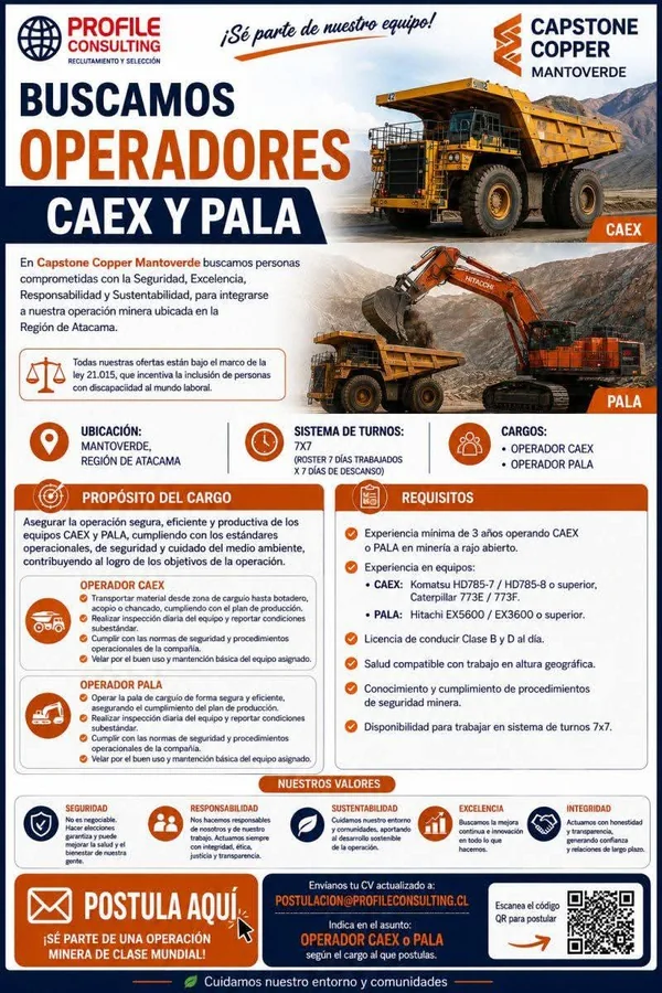 Operadores CAEX y Pala - imagen 1