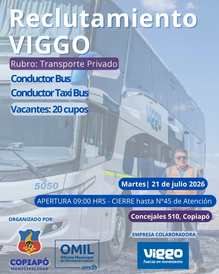 Conductor de Bus y Taxi Bus - imagen 1