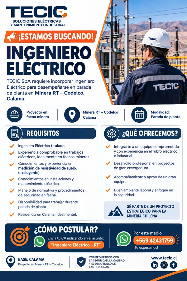 Ingeniero Eléctrico - imagen 1